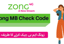 Zong-MB-Check-Code