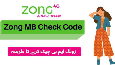 Zong-MB-Check-Code